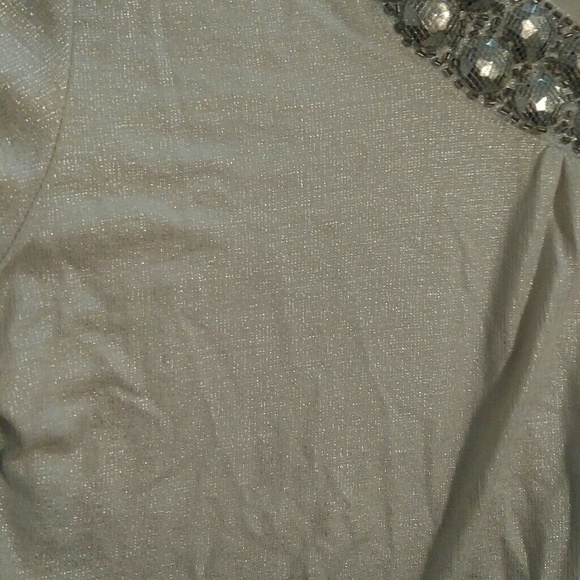 Nwt! Slightly shimmering T shirt. - Picture 3 of 3